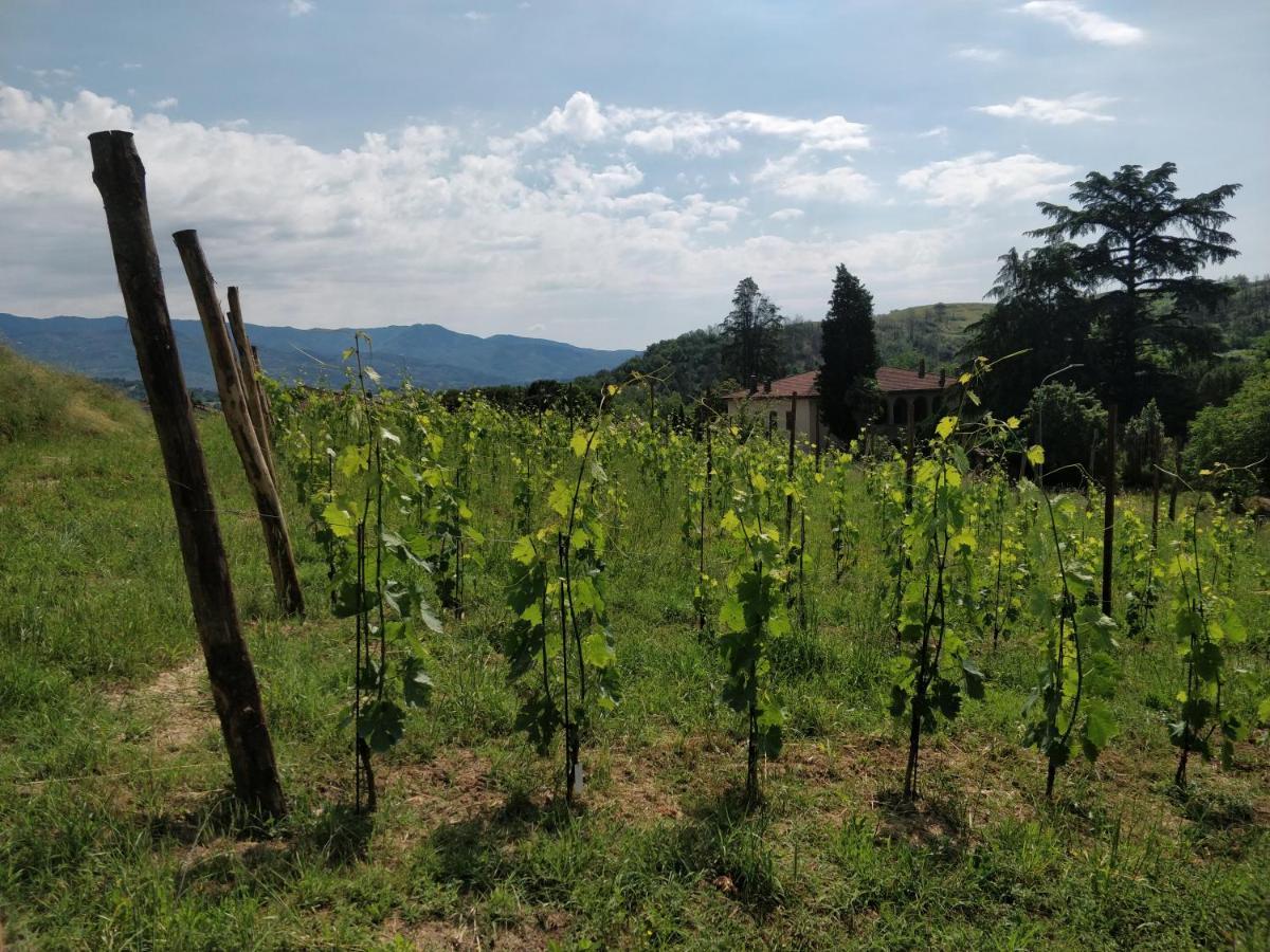 La Valle B&B Cavriglia Buitenkant foto