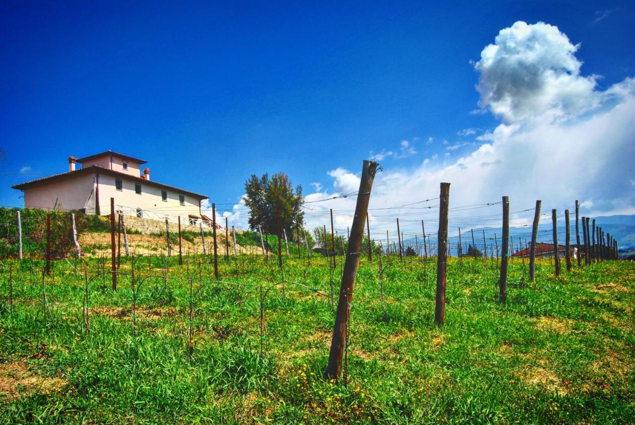 La Valle B&B Cavriglia Buitenkant foto